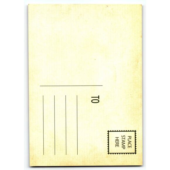 Vintage Halloween Photochrome Postcard with Full Moon & Jack-O'-Lanterns - Picture 2 of 2